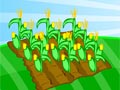 Hra online - Farm fun