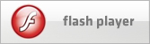 flash player